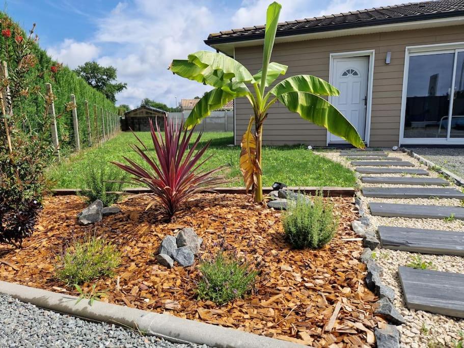 La Villa Des Pins Maison Standing 7 Pers Terre Et Mer Brach ภายนอก รูปภาพ