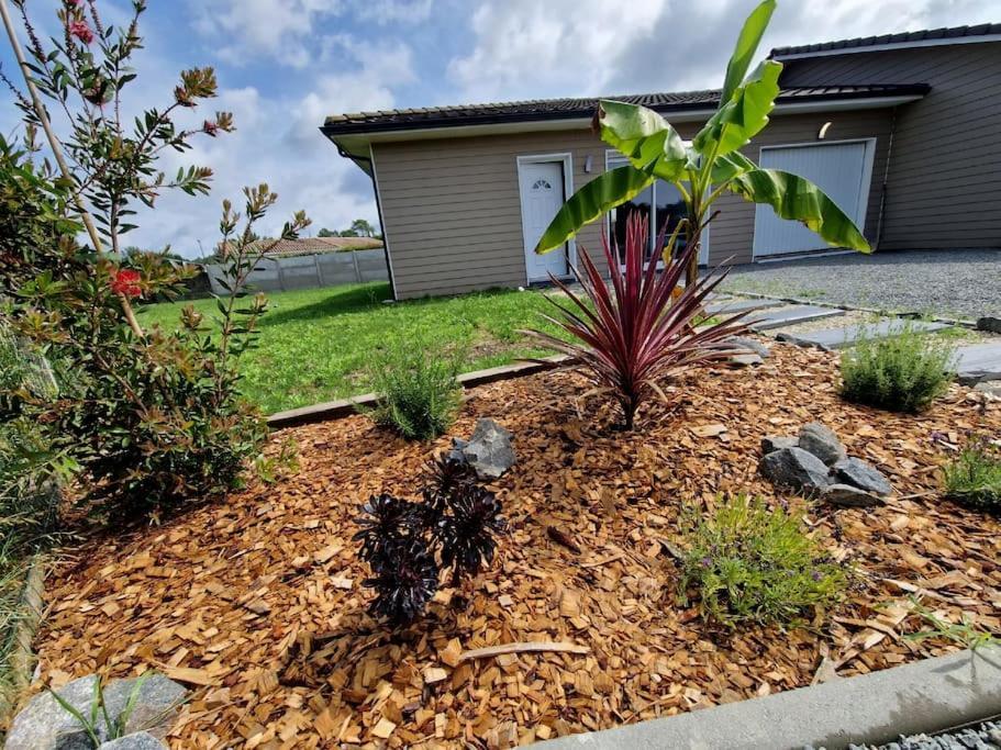 La Villa Des Pins Maison Standing 7 Pers Terre Et Mer Brach ภายนอก รูปภาพ